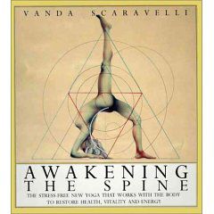Vanda's book cover: Awakening the Spine